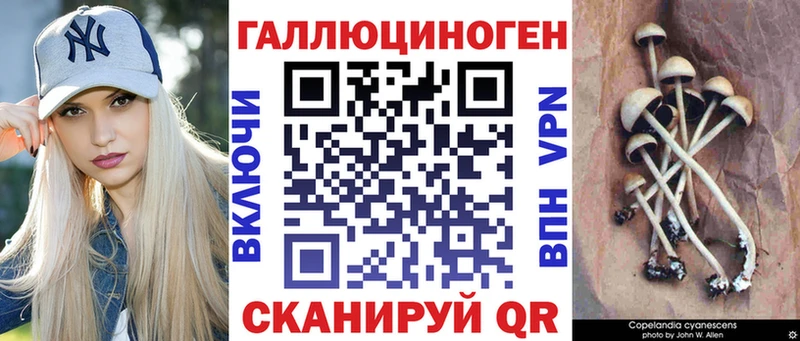 Псилоцибиновые грибы Cubensis  где найти наркотики  Новоуральск 